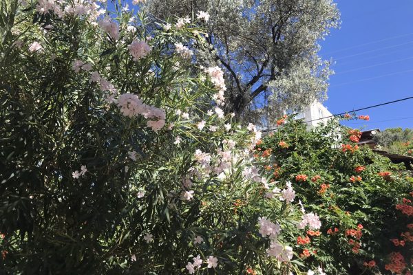 fıstıklı bilgiç pansiyon 13