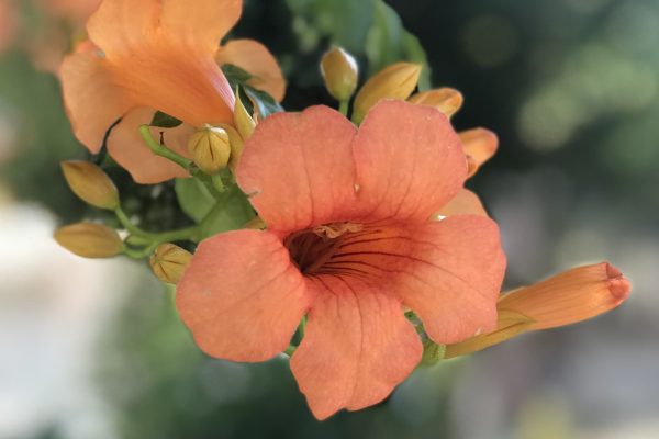 fıstıklı bilgiç pansiyon 18