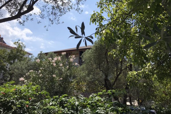 fıstıklı bilgiç pansiyon 20