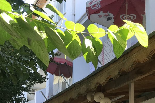 fıstıklı bilgiç pansiyon 23