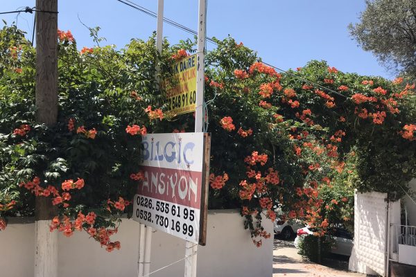 fıstıklı bilgiç pansiyon 31