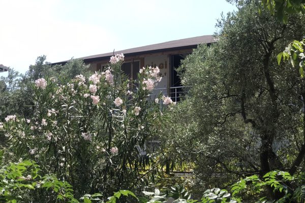 fıstıklı bilgiç pansiyon 32