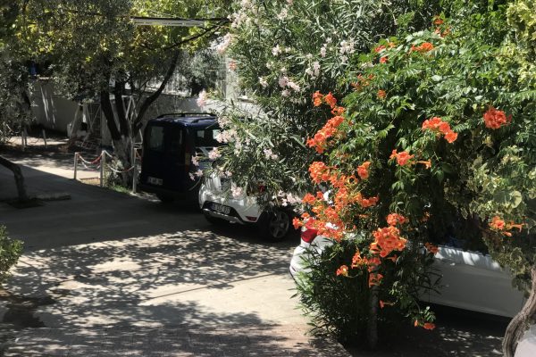 fıstıklı bilgiç pansiyon 4