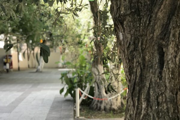 fıstıklı bilgiç pansiyon 7